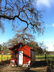 New Red Shed