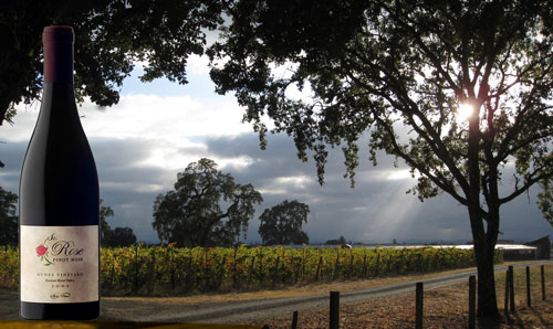 St. Rose Vineyard & Winery, Dorothy's Block, Nunes Vineyard